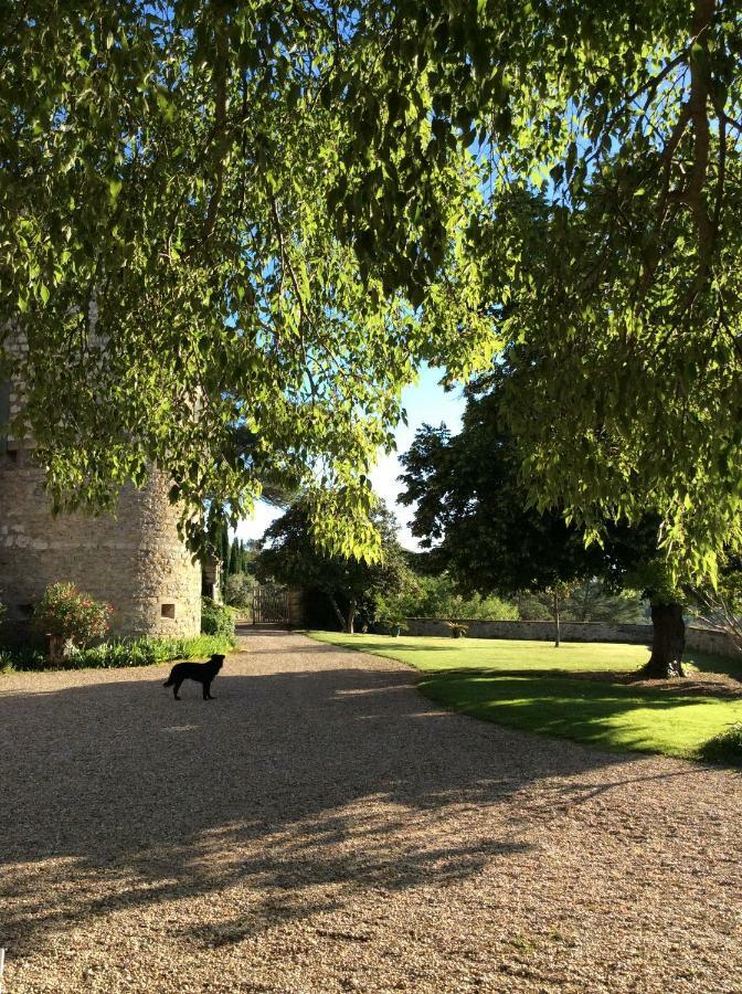 Chateau De Rousson Buitenkant foto